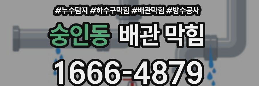 숭인동 배관 막힘