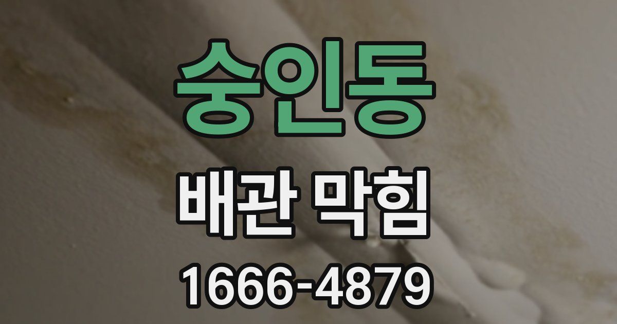숭인동 배관 막힘