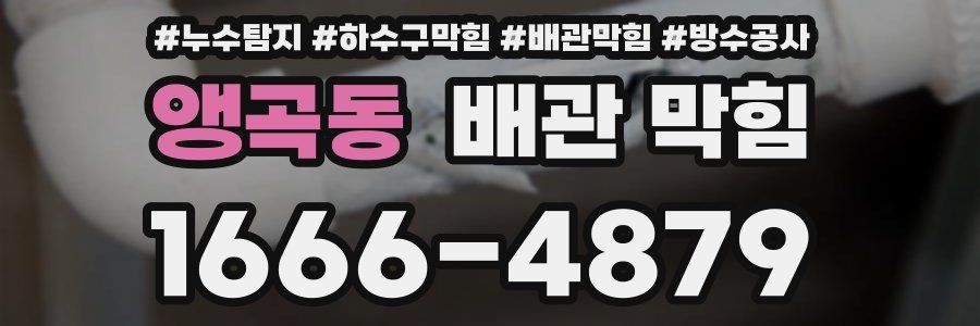 앵곡동 배관 막힘