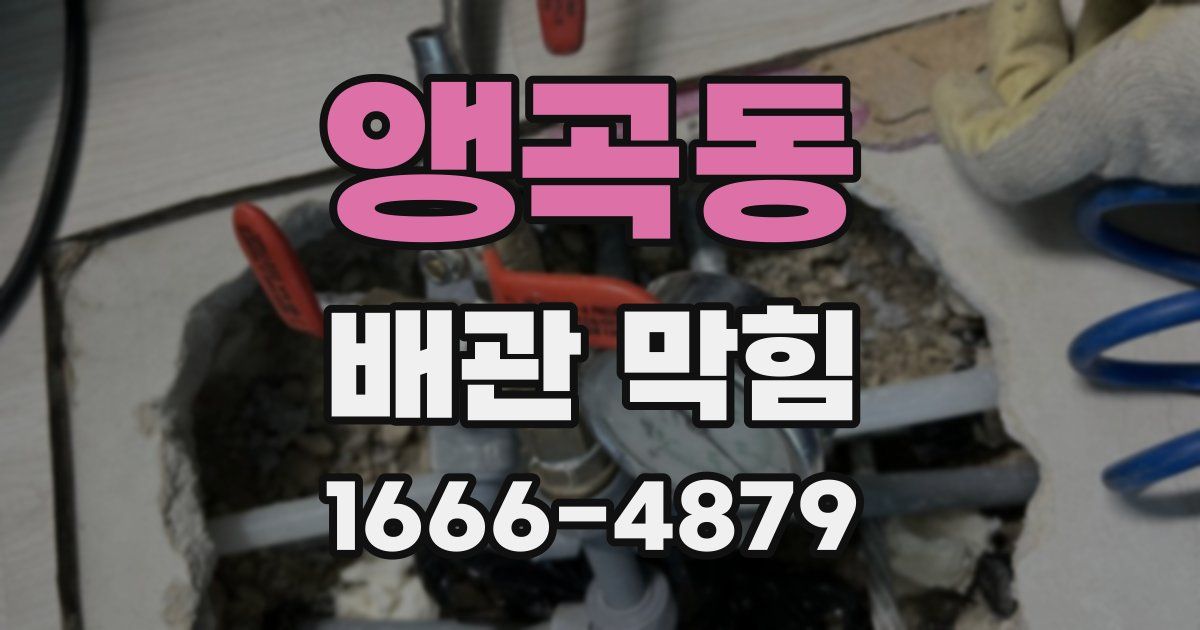 앵곡동 배관 막힘