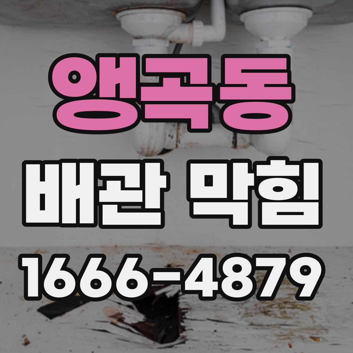 앵곡동 배관 막힘