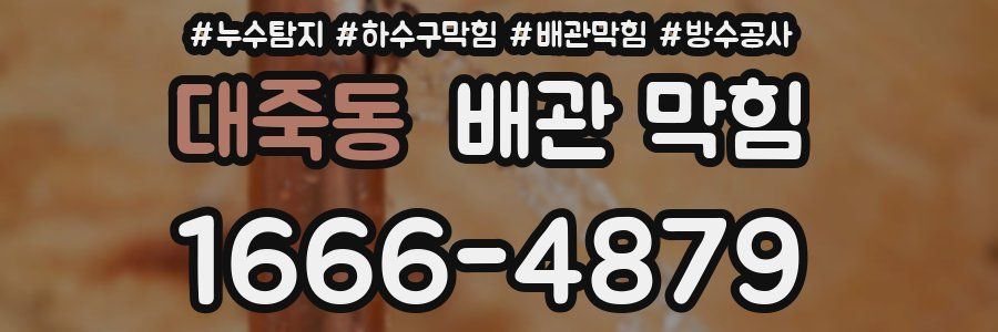 대죽동 배관 막힘