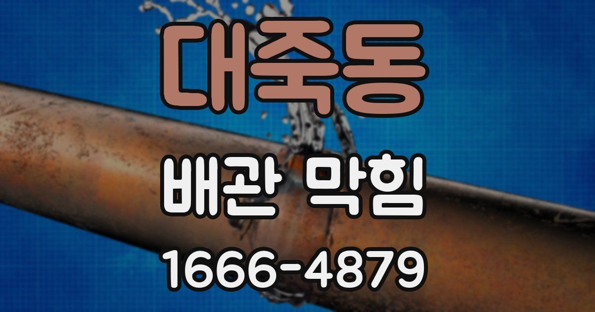 대죽동 배관 막힘