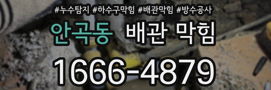 안곡동 배관 막힘
