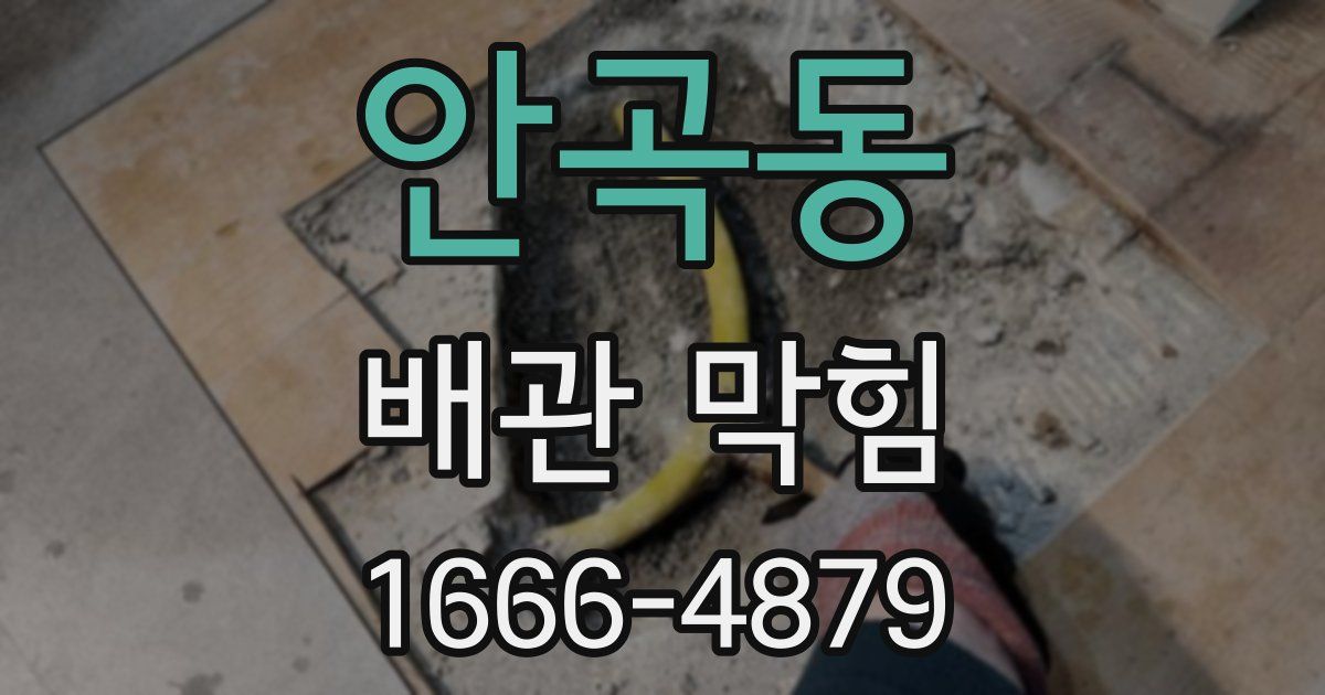 안곡동 배관 막힘
