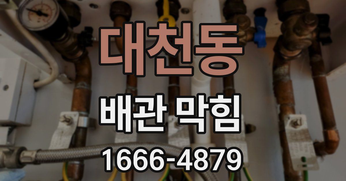 대천동 배관 막힘