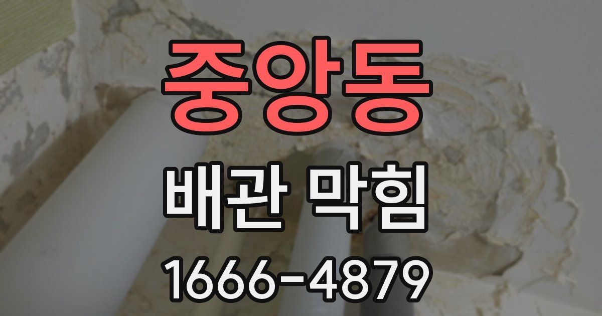 중앙동 배관 막힘