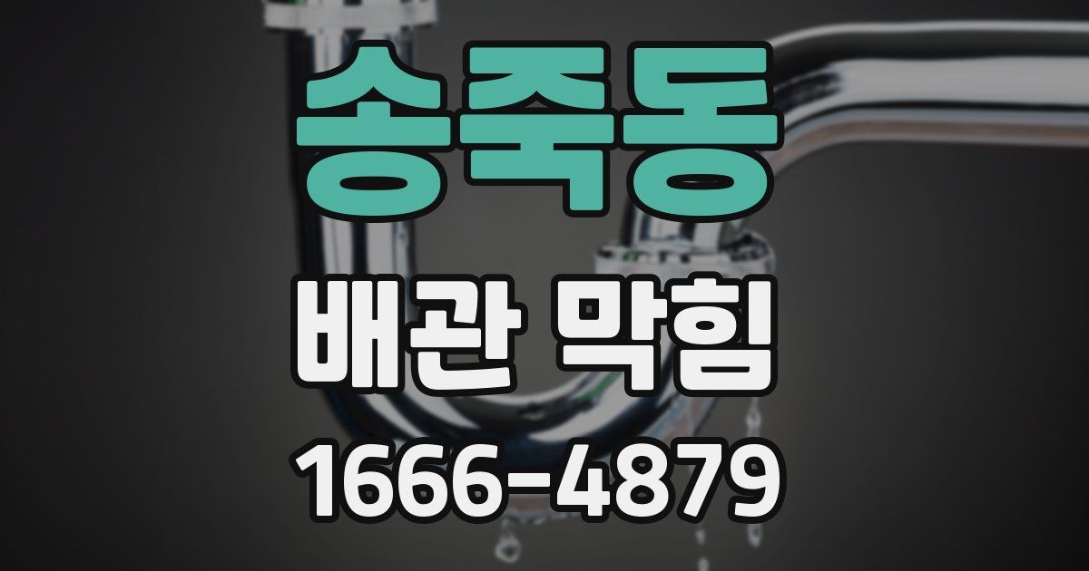 송죽동 배관 막힘