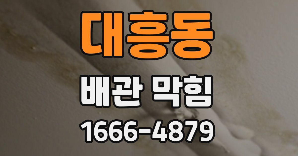 대흥동 배관 막힘