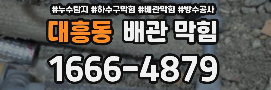 대흥동 배관 막힘