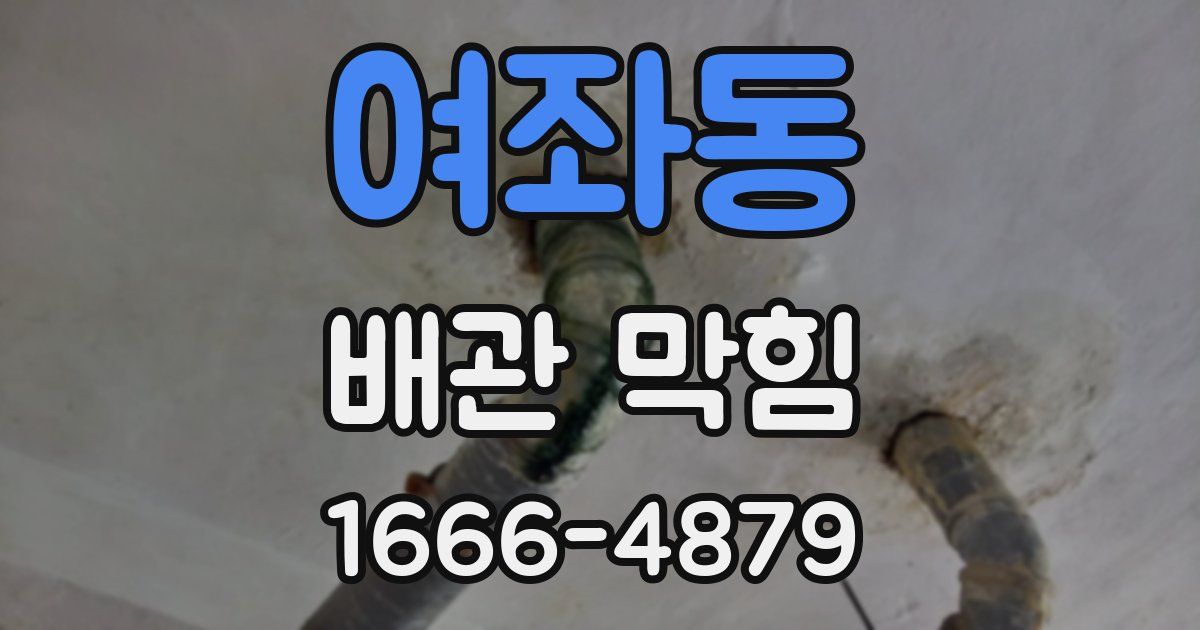 여좌동 배관 막힘