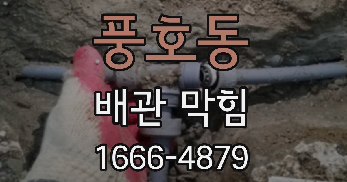 풍호동 배관 막힘