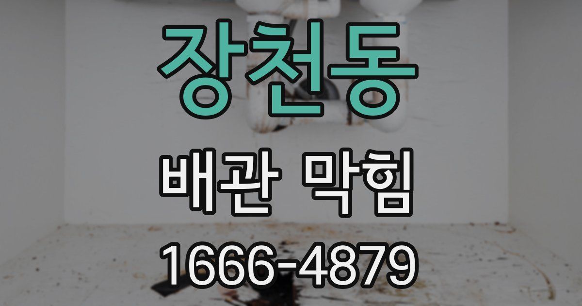 장천동 배관 막힘