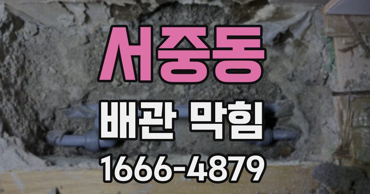 서중동 배관 막힘