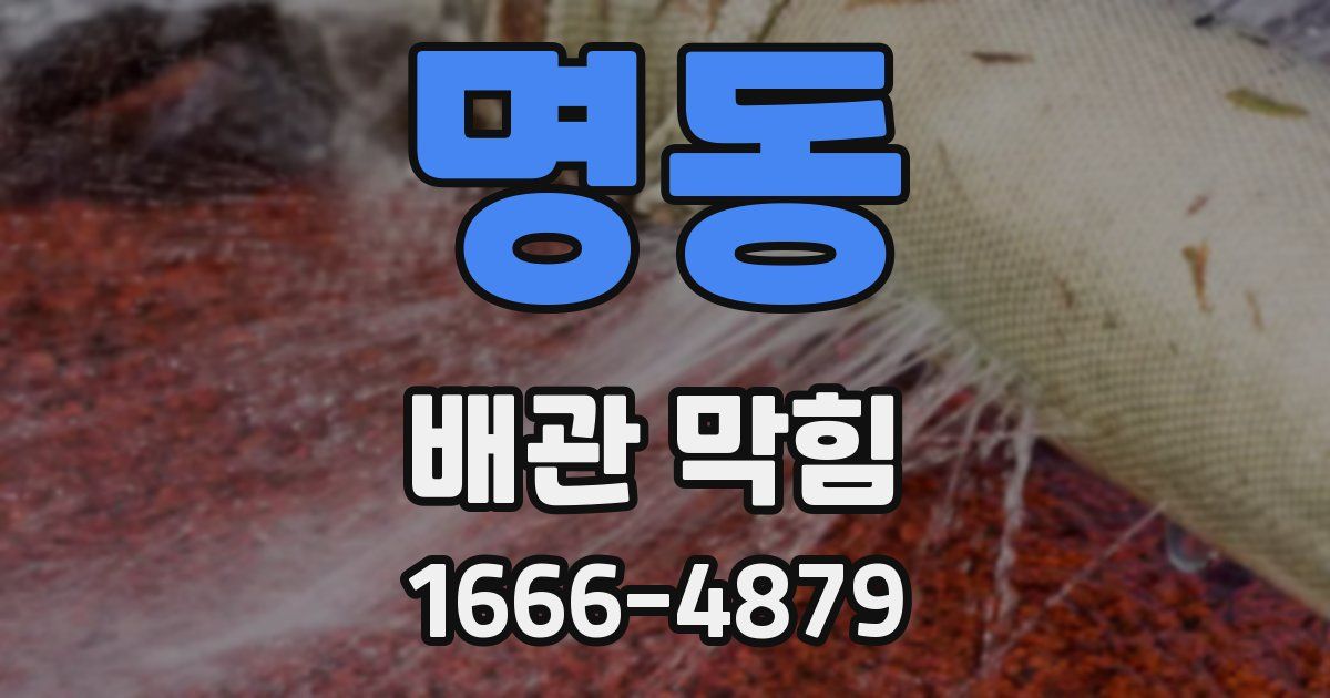 명동 배관 막힘