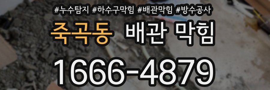 죽곡동 배관 막힘