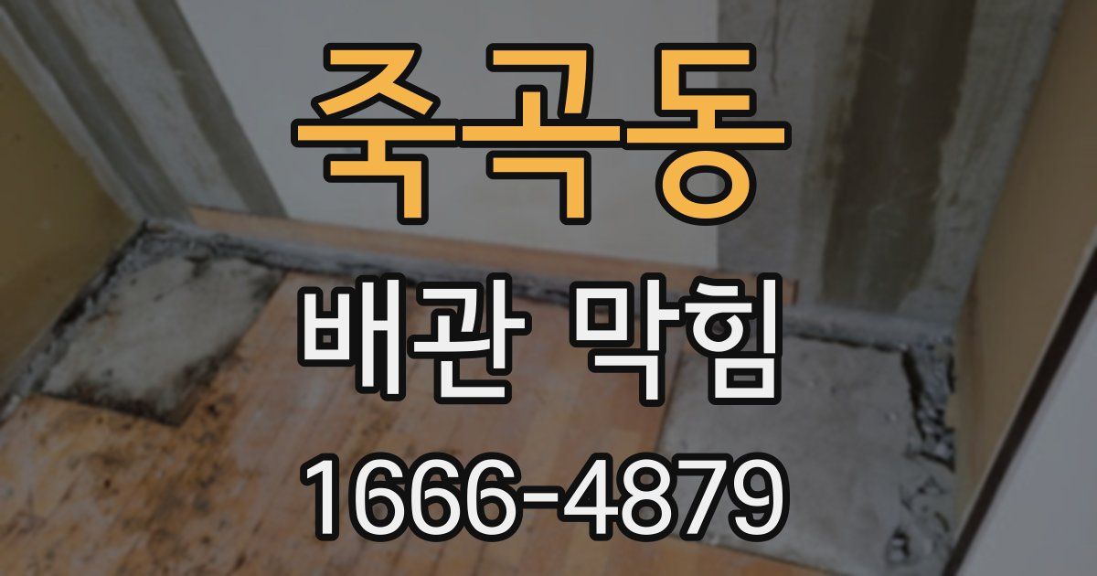 죽곡동 배관 막힘