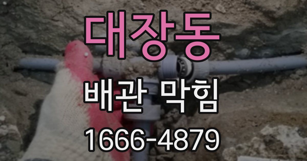 대장동 배관 막힘