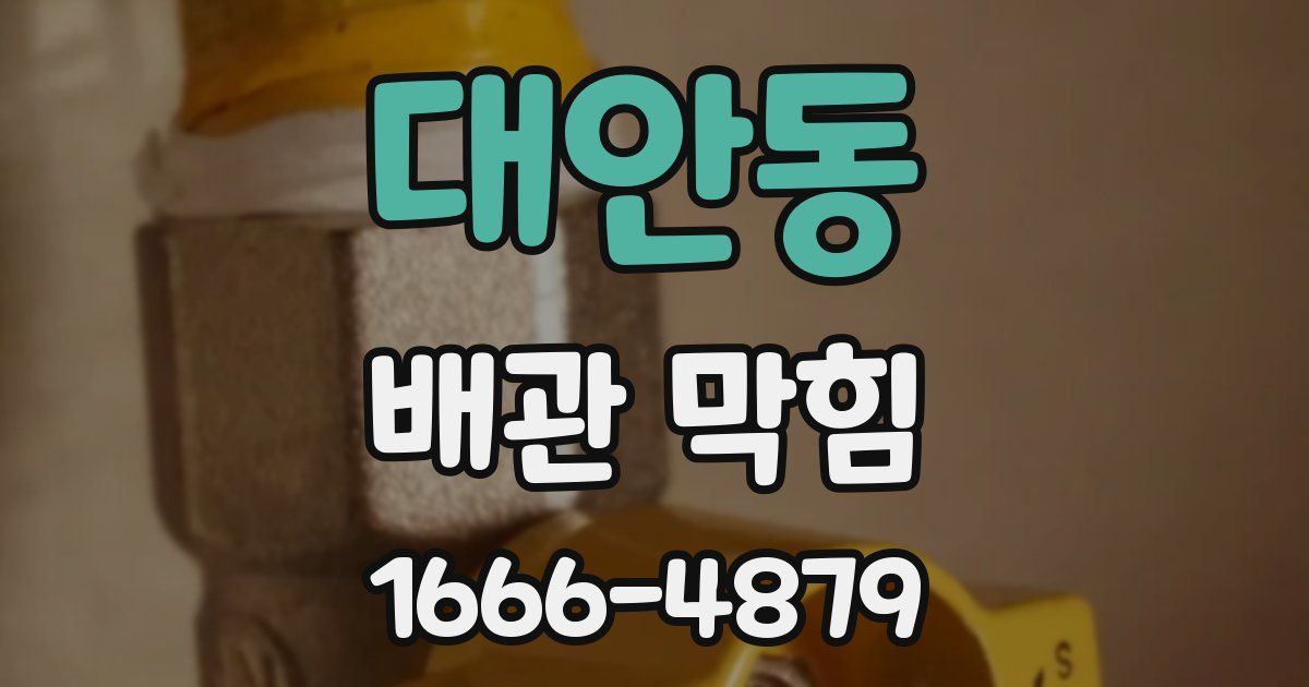 대안동 배관 막힘