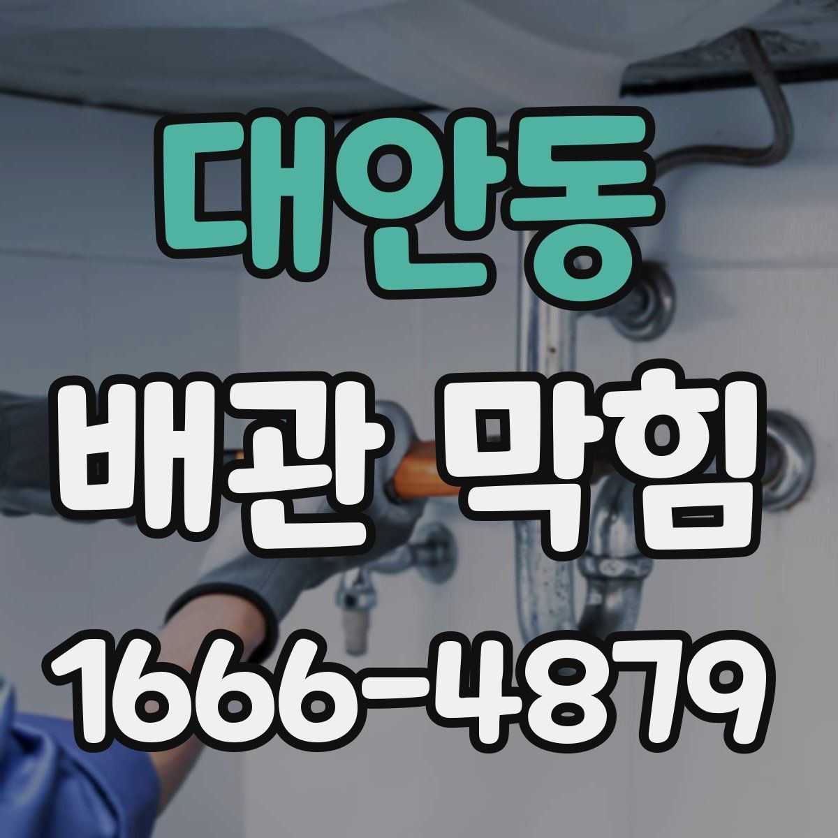 대안동 배관 막힘