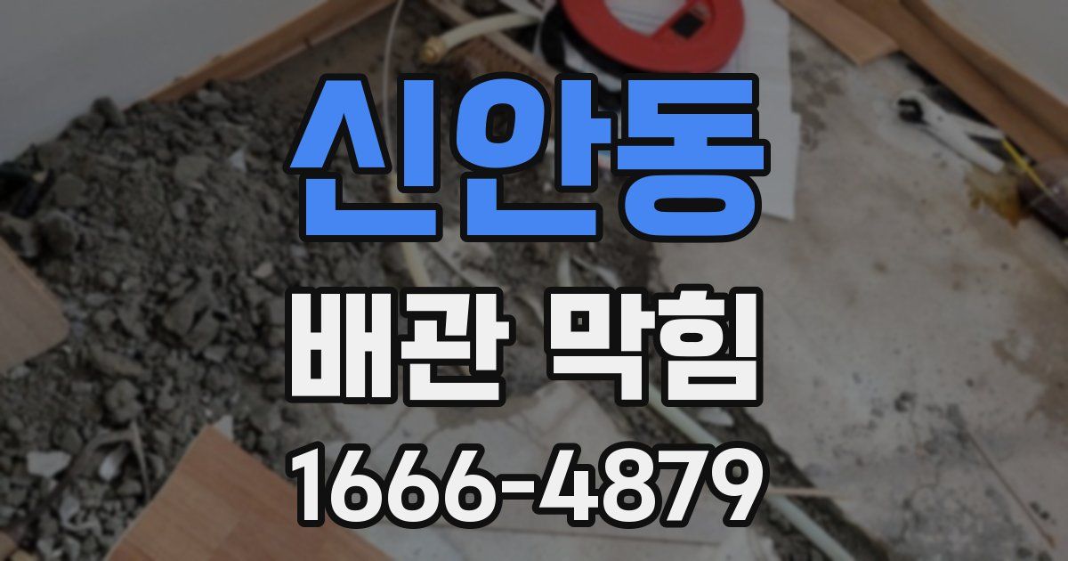 신안동 배관 막힘