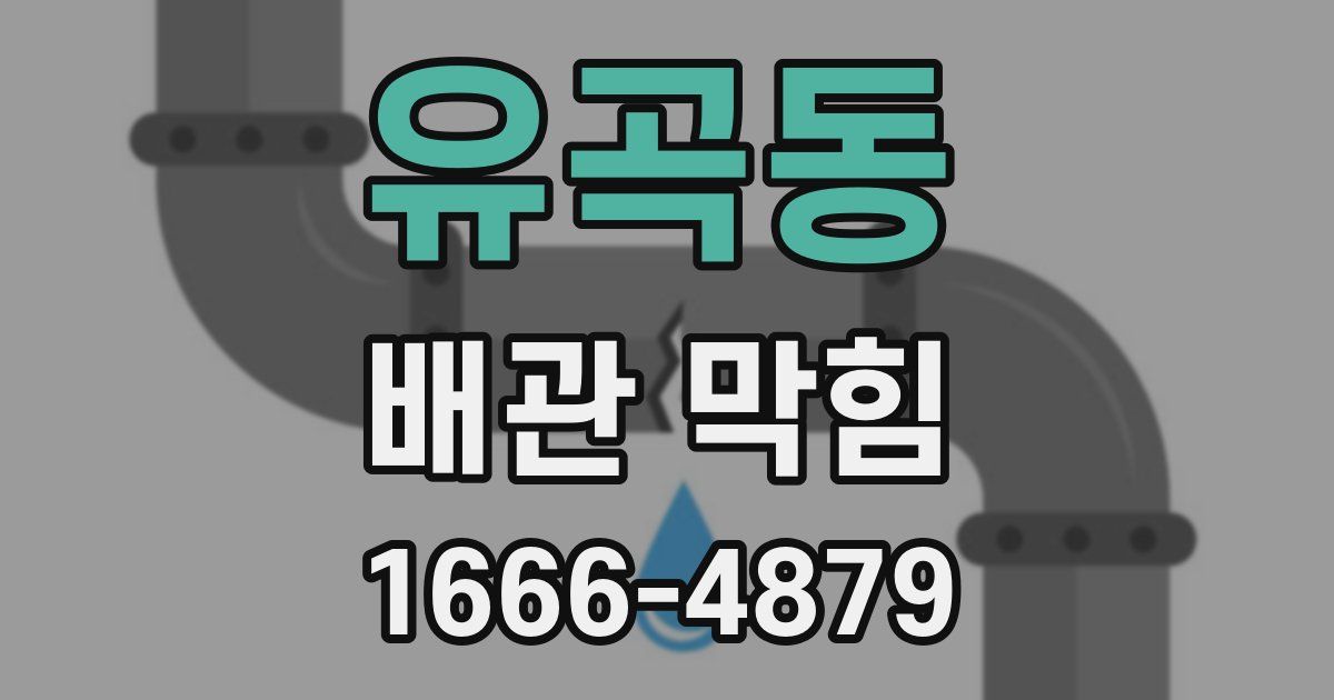 유곡동 배관 막힘