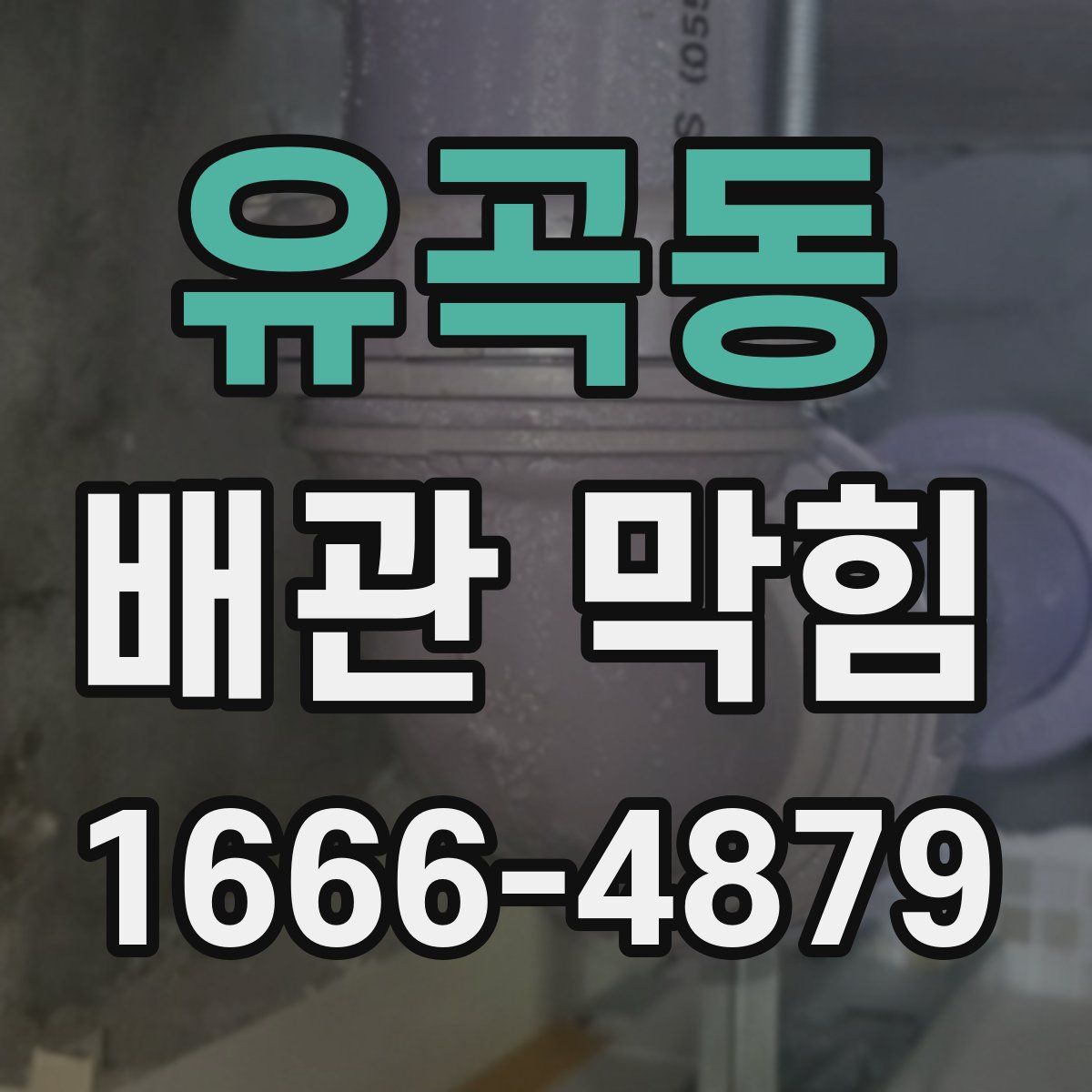 유곡동 배관 막힘