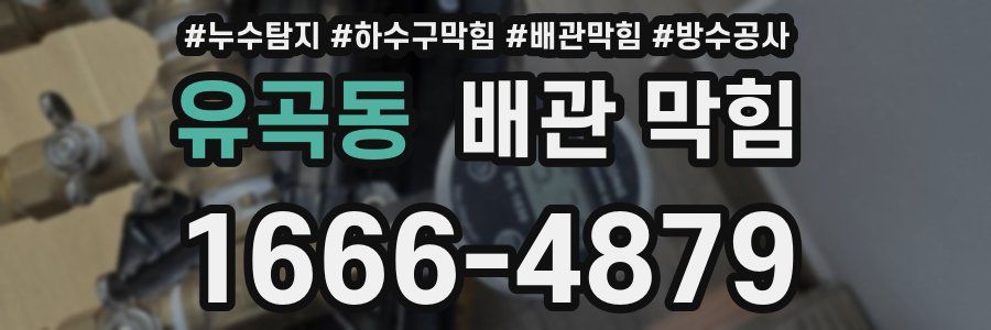 유곡동 배관 막힘