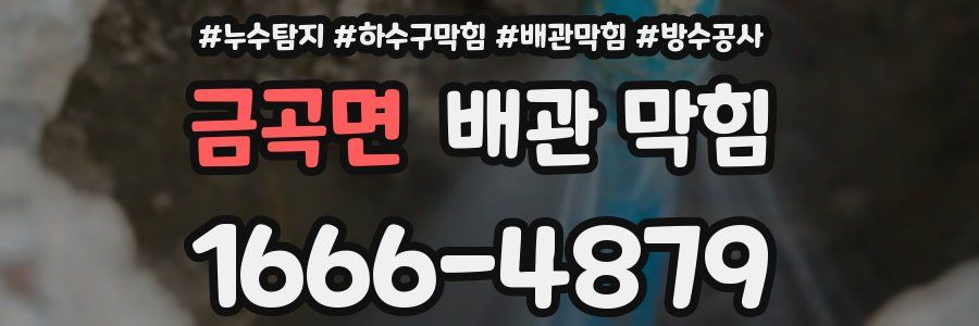 금곡면 배관 막힘