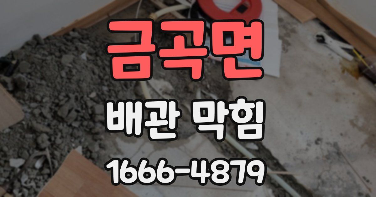 금곡면 배관 막힘
