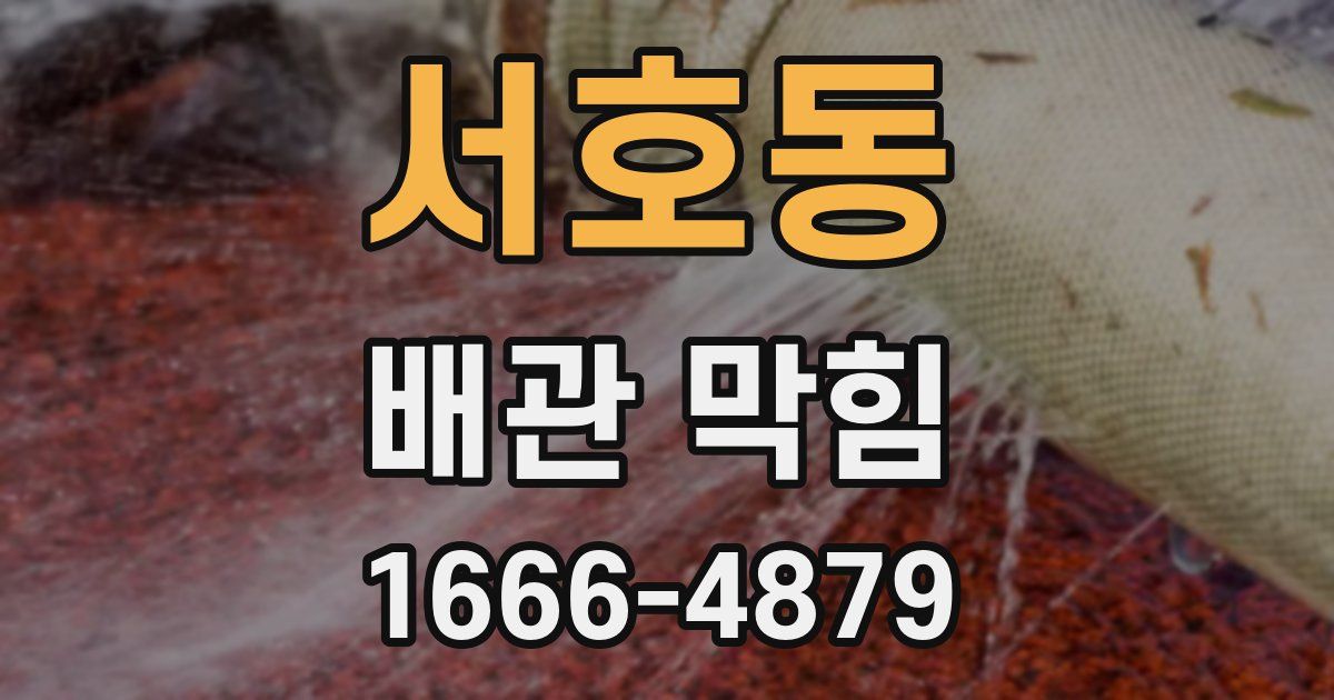 서호동 배관 막힘
