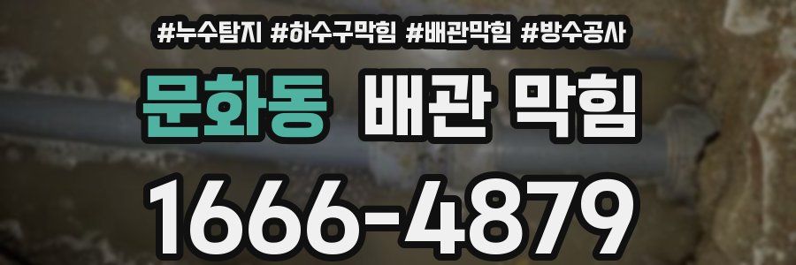 문화동 배관 막힘
