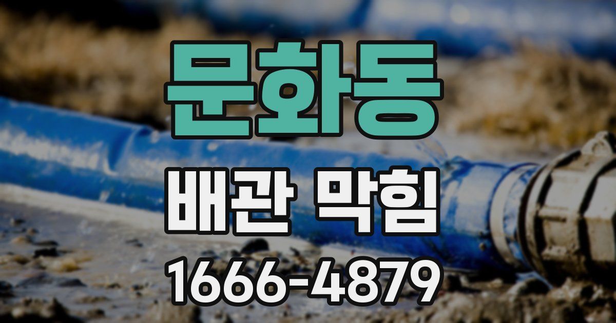 문화동 배관 막힘