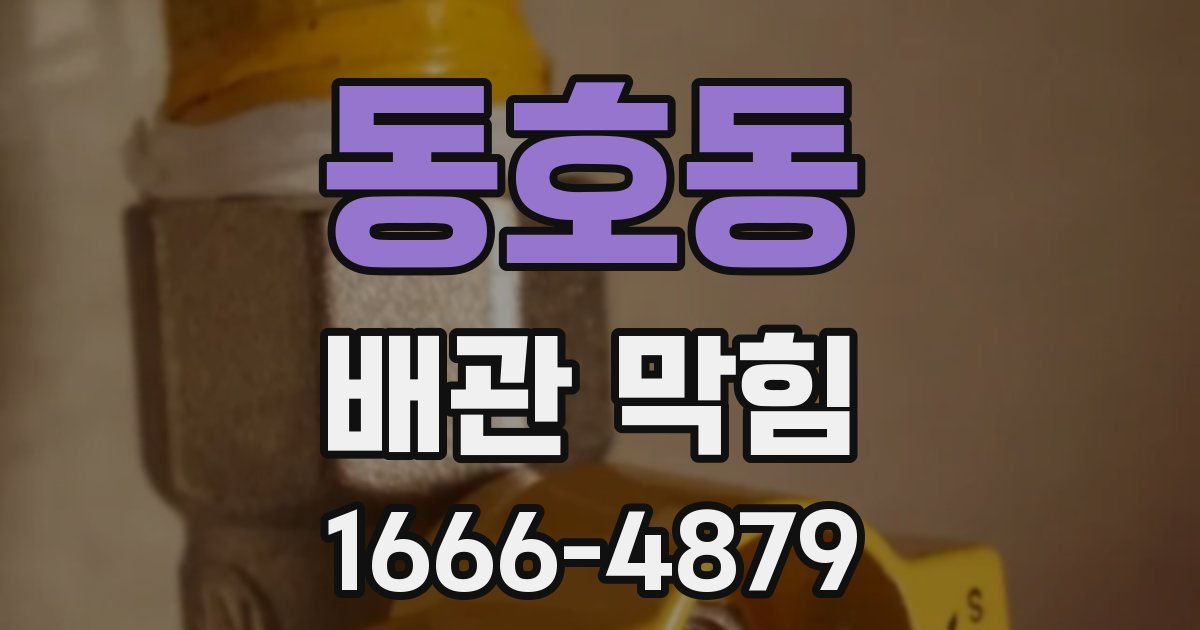 동호동 배관 막힘