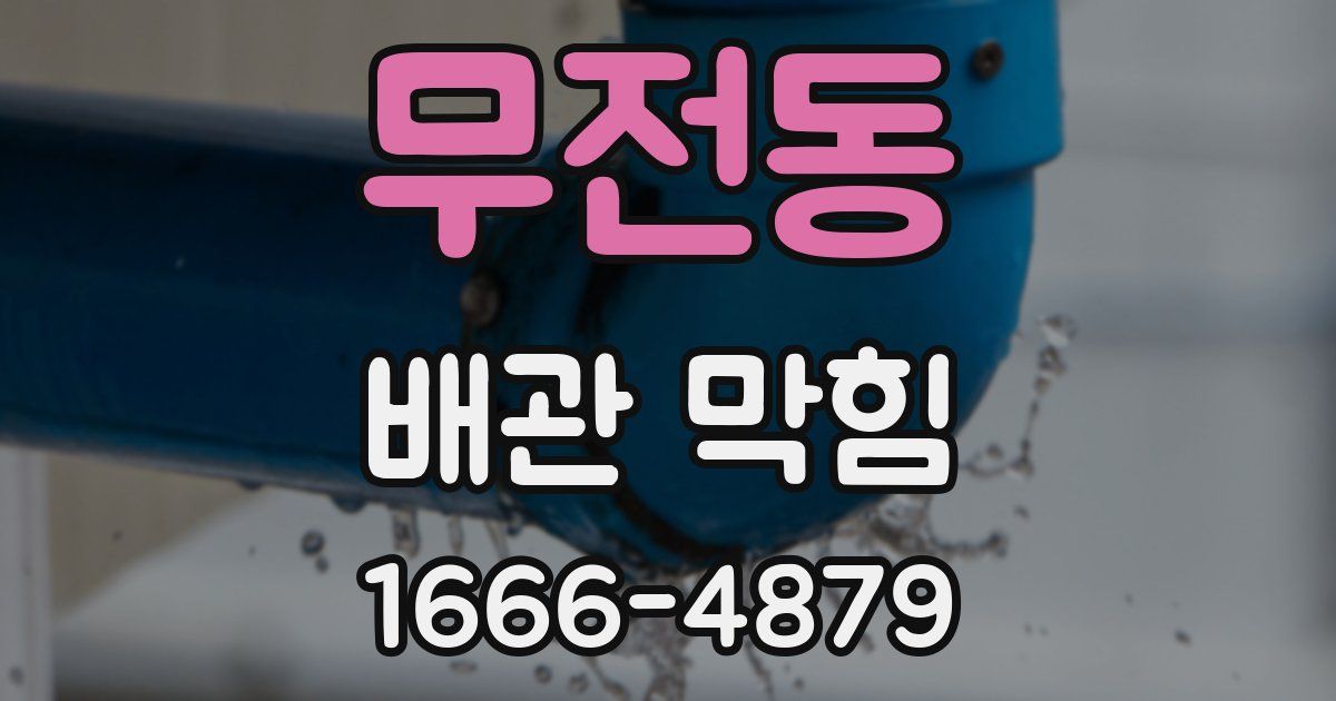 무전동 배관 막힘
