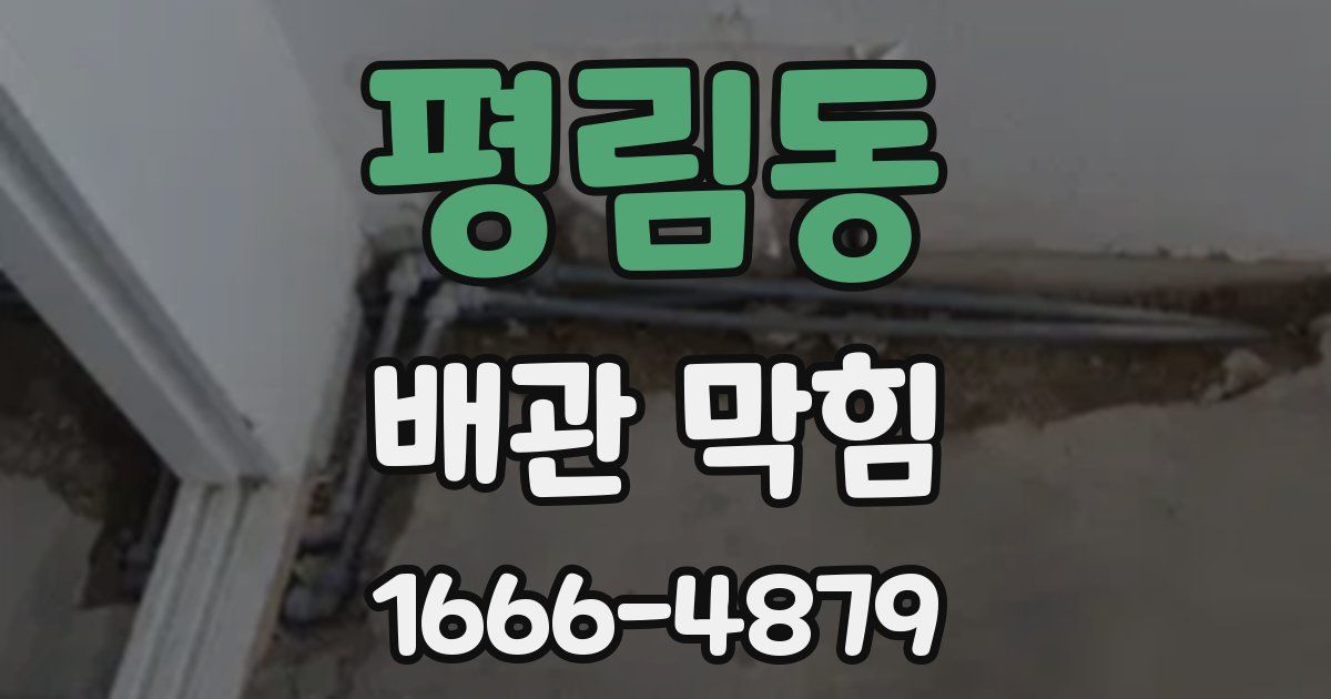 평림동 배관 막힘
