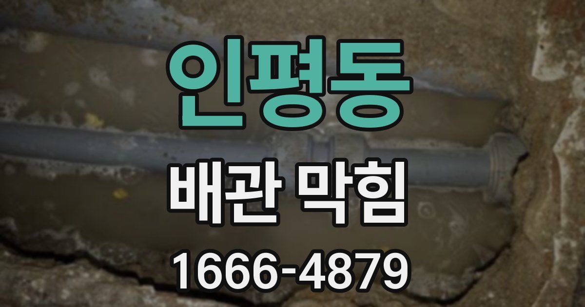 인평동 배관 막힘
