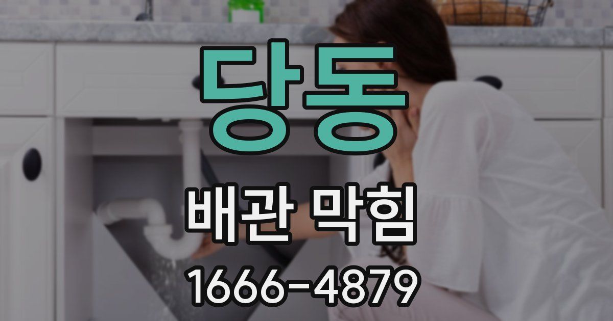 당동 배관 막힘