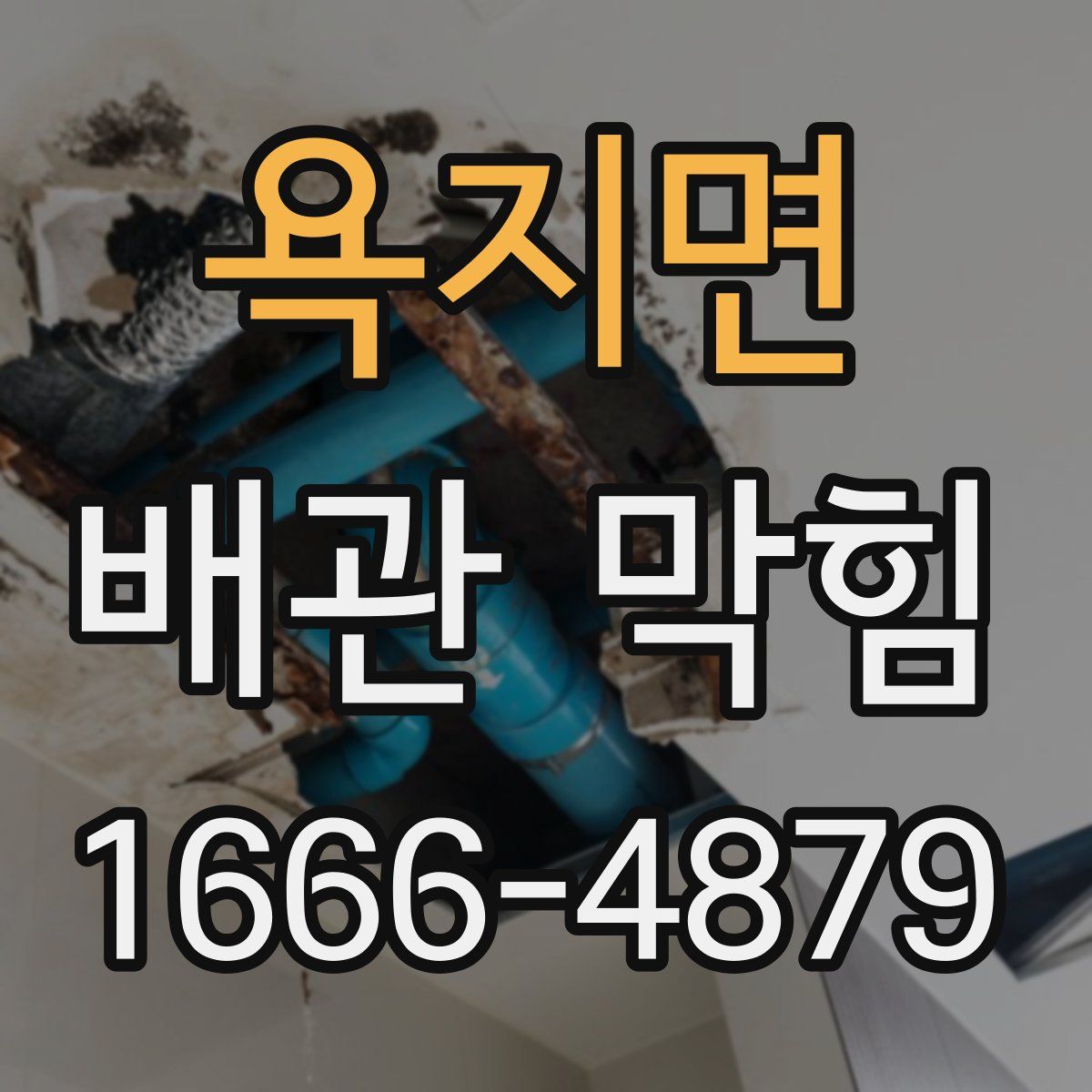 욕지면 배관 막힘