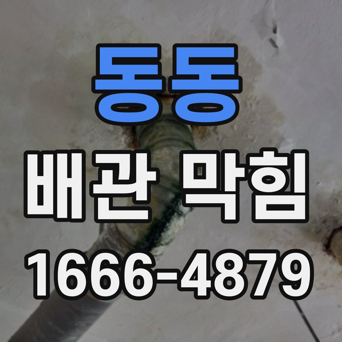 동동 배관 막힘
