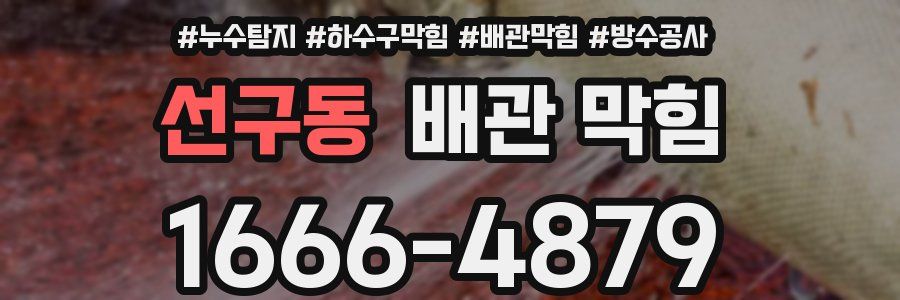 선구동 배관 막힘