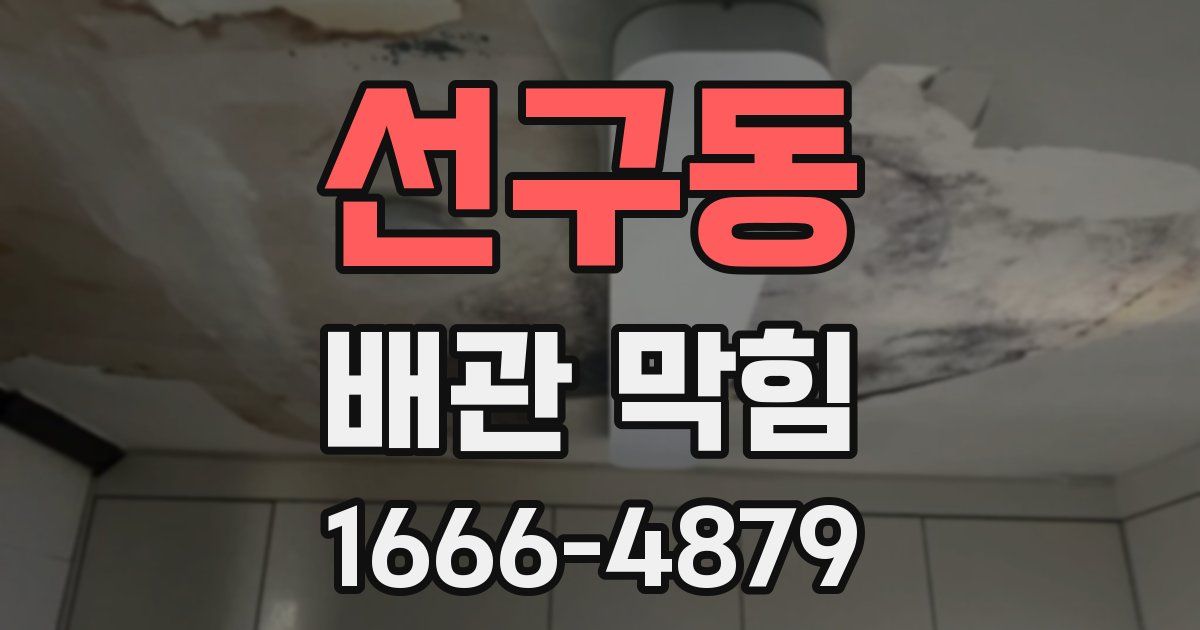 선구동 배관 막힘