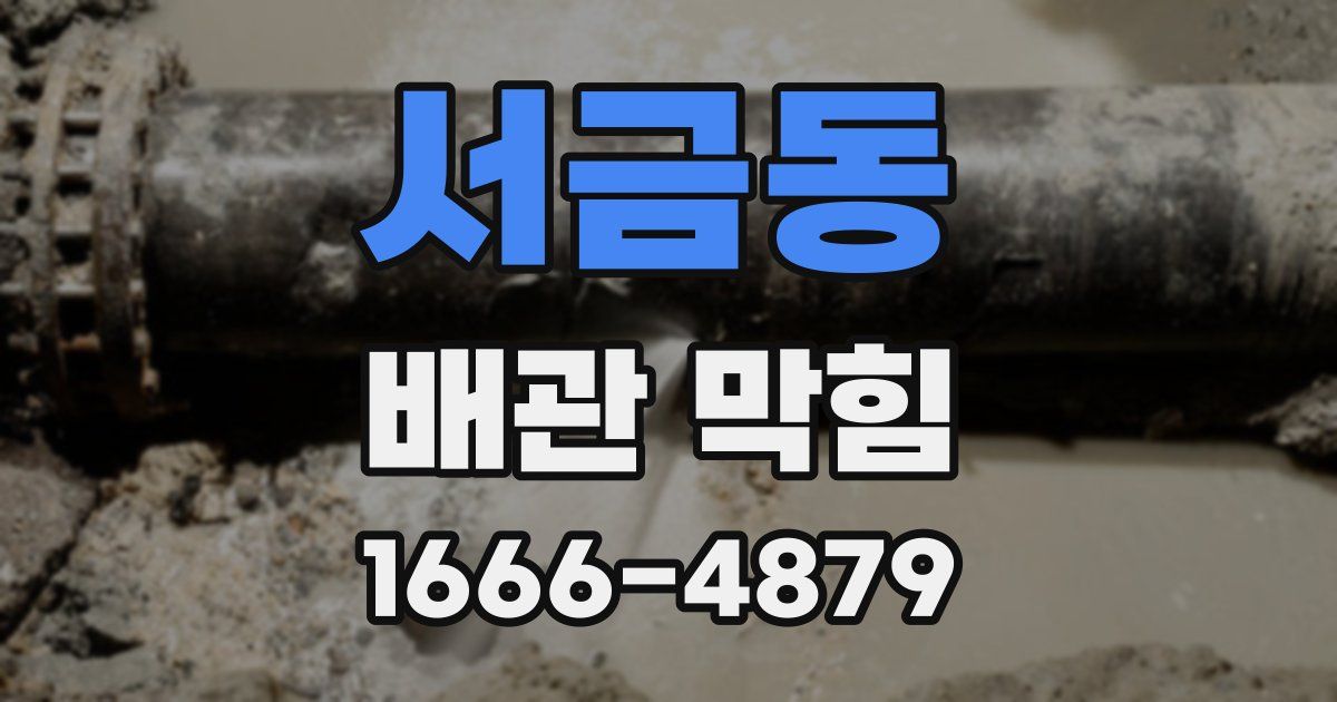 서금동 배관 막힘