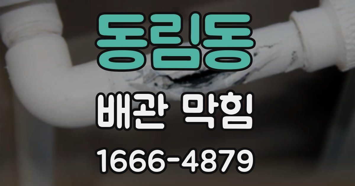 동림동 배관 막힘