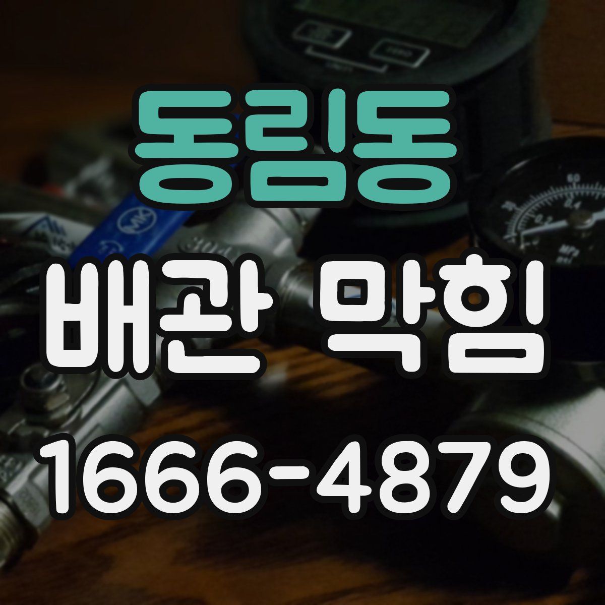 동림동 배관 막힘
