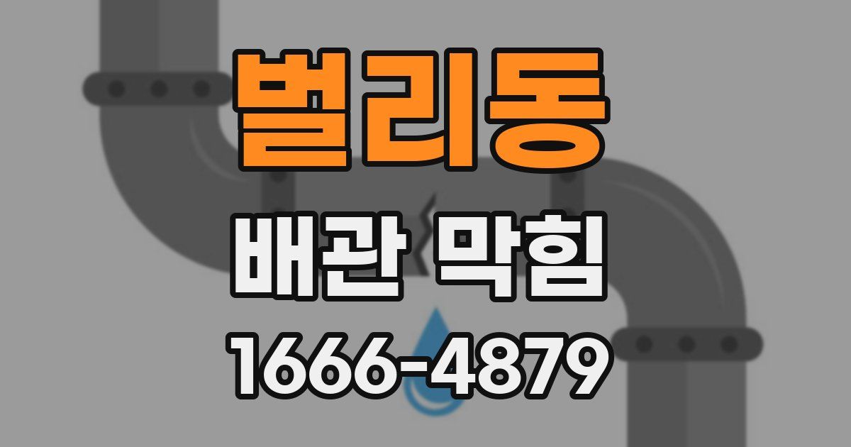 벌리동 배관 막힘