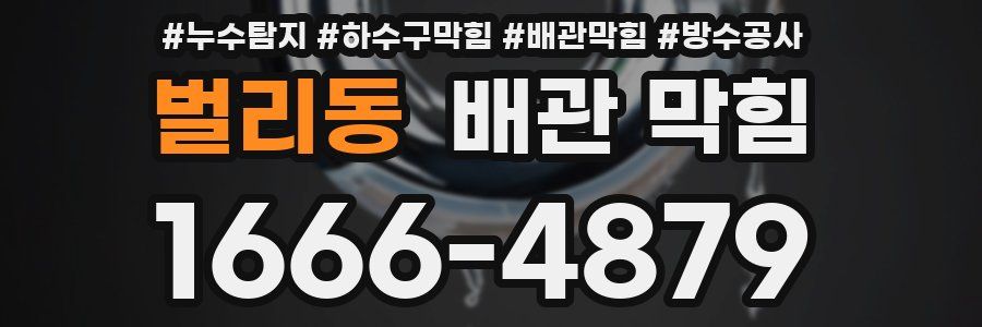 벌리동 배관 막힘
