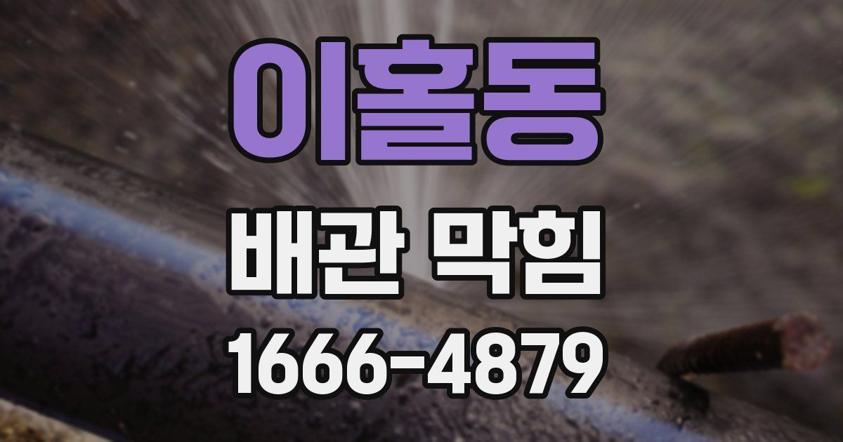 이홀동 배관 막힘