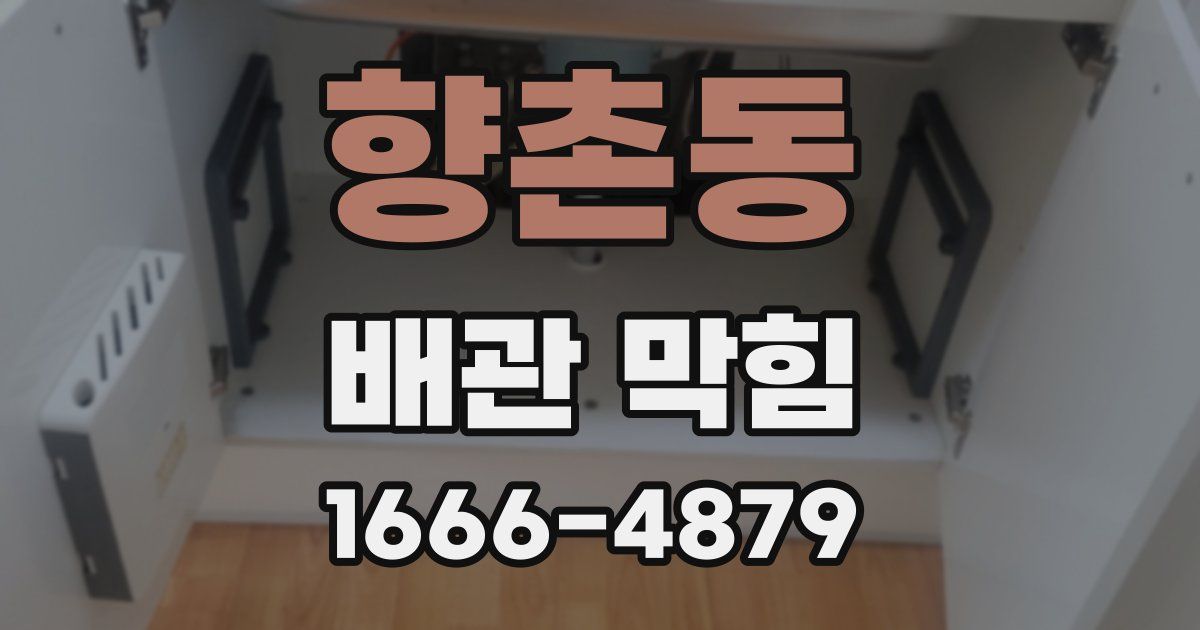 향촌동 배관 막힘