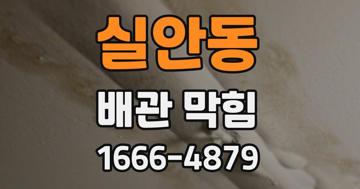 실안동 배관 막힘
